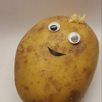 potatoxdd