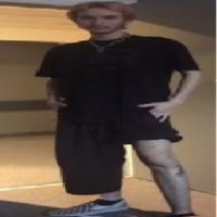 drt_van