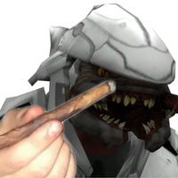 RapidBager