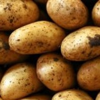 EvilPotato