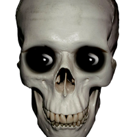 Ozaawaa_1