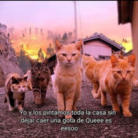 GabuchoAVM
