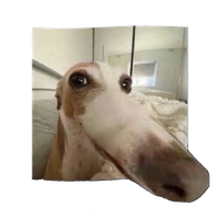 Msa2a3a