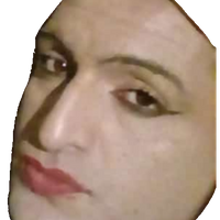 gatita_mimosa