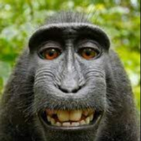 Munkey_Men01