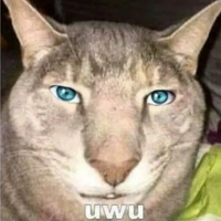 MxX.u