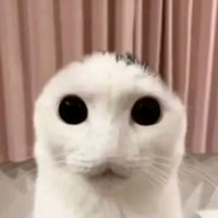 RemieRat