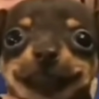 D3RpR3DD