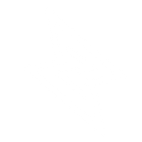 Boltzii_