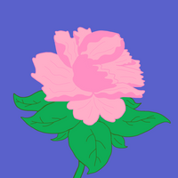 IllumiMahdi