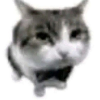0pie