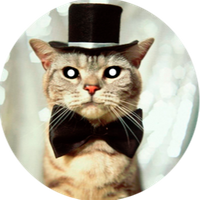 Mister Cat