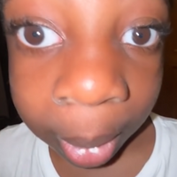MiniErva