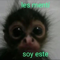 Aimar JR
