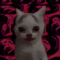 CatsGetDementia
