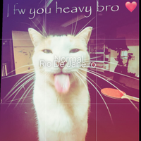 XzavierTheRat