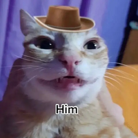 Kittylitter9000