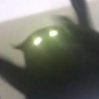 M4il