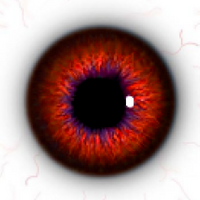 Sqwoist