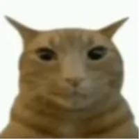 JustNiko