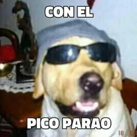 Pico parao