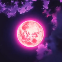 THE_BEST0o0