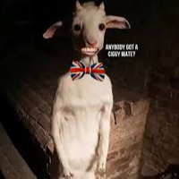 Chrislex