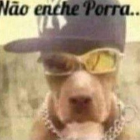 pitbulldofunk