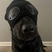 Deluxos