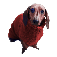 Mulwotmo