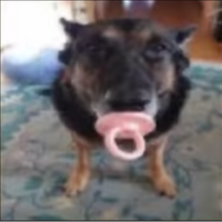 peeper100