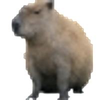 tOMMIEcUM