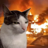 Xx_IKatzen_xX