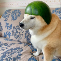 chichopatocarlo