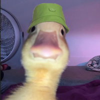 THEJOKERR123