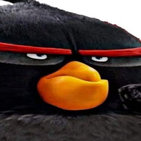 SARA_CATUNGA