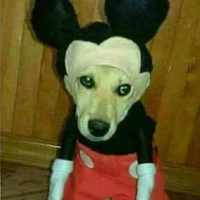 YungDeadite