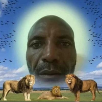 SrFeups