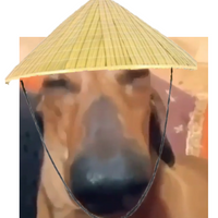 Xandify