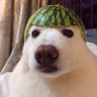 Melo_Melon