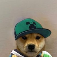 Shurgao
