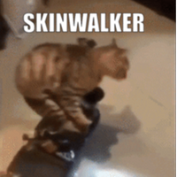monkiwinning