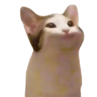 alestz00