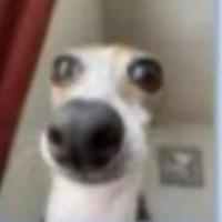 IzanMewtwo23