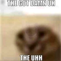 lilnesquik