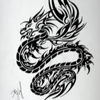 DRAGON007