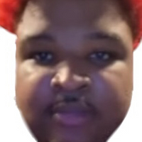 countninjas