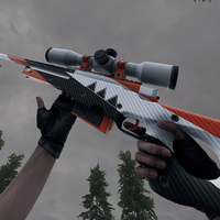 RaiderKTM
