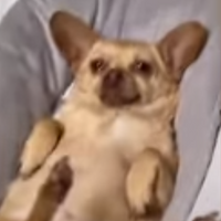 WeabooKyo