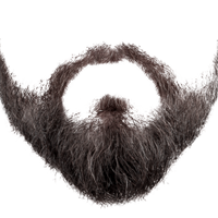 PornDirector